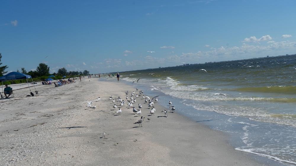 Gulf Breeze Cottages Sanibel Bagian luar foto